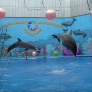 Дельфинарий в Алуште Крым